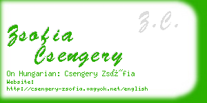 zsofia csengery business card